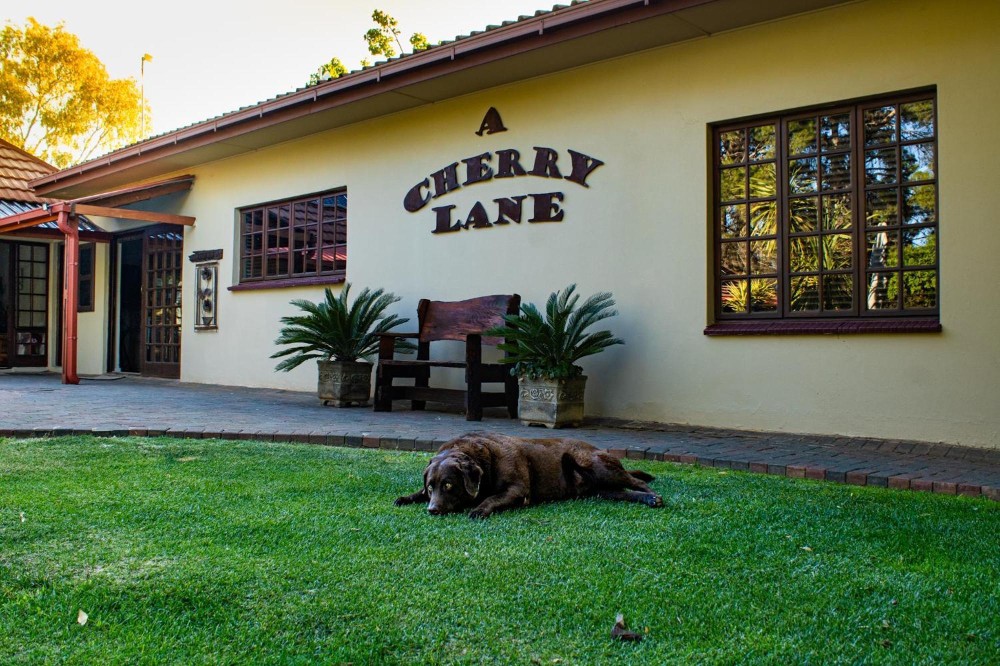 A Cherry Lane Self Catering And B&B Bloemfontein Kültér fotó