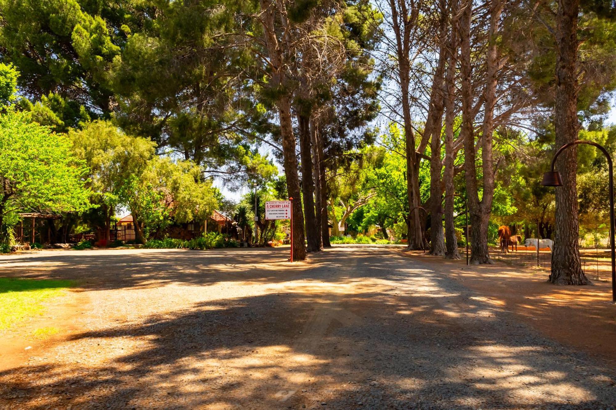 A Cherry Lane Self Catering And B&B Bloemfontein Kültér fotó