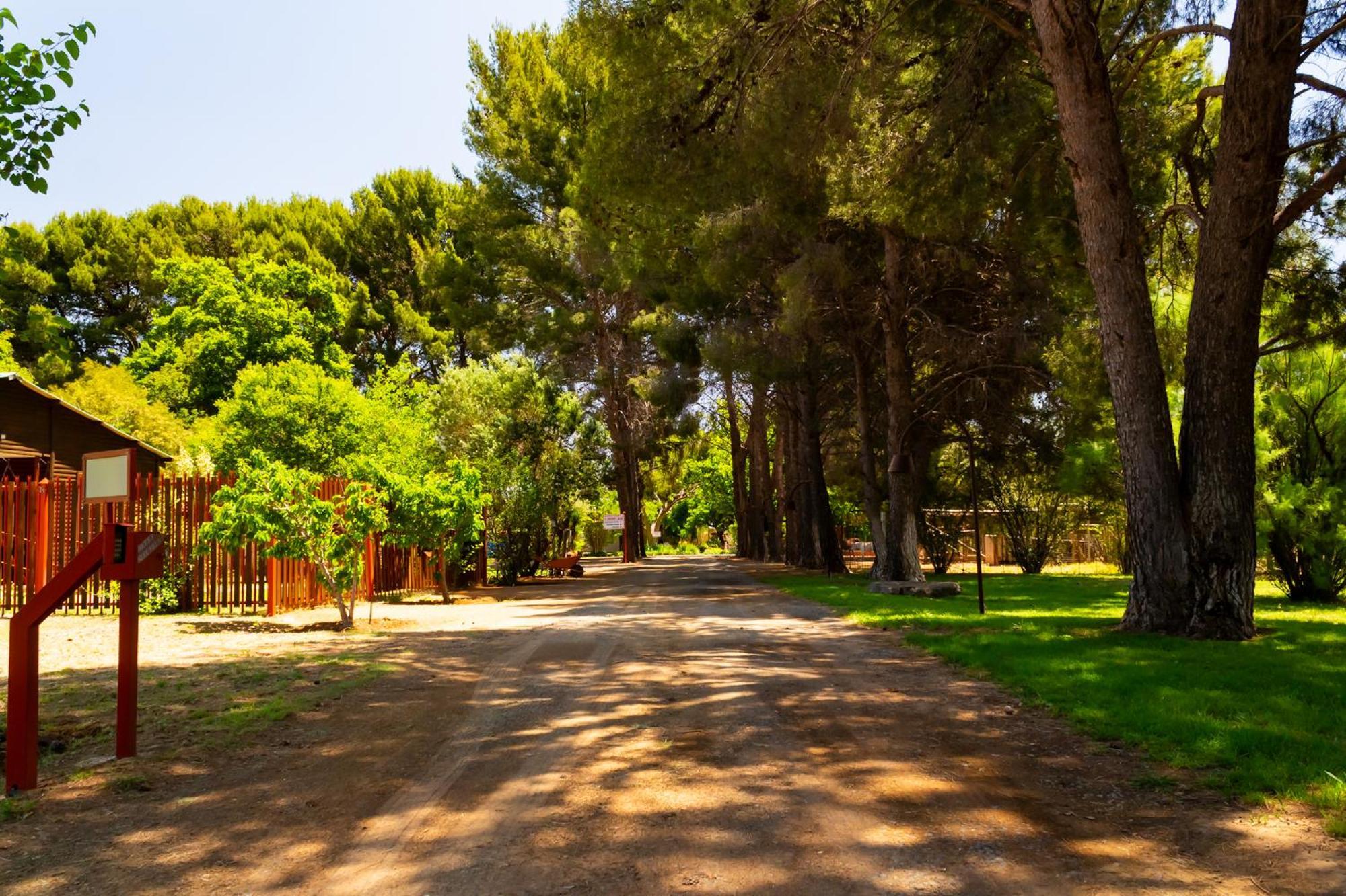 A Cherry Lane Self Catering And B&B Bloemfontein Kültér fotó